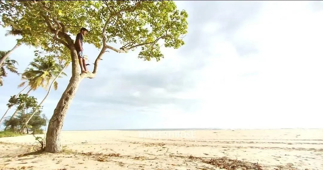 Marari Beach Pearl Homestay Mararikulam 0*,  India