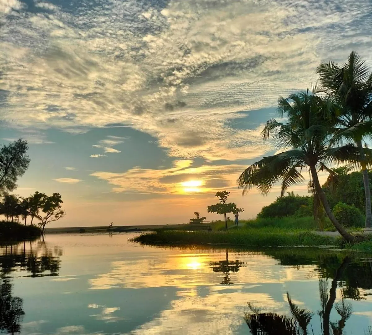 Marari Beach Pearl Homestay Mararikulam India
